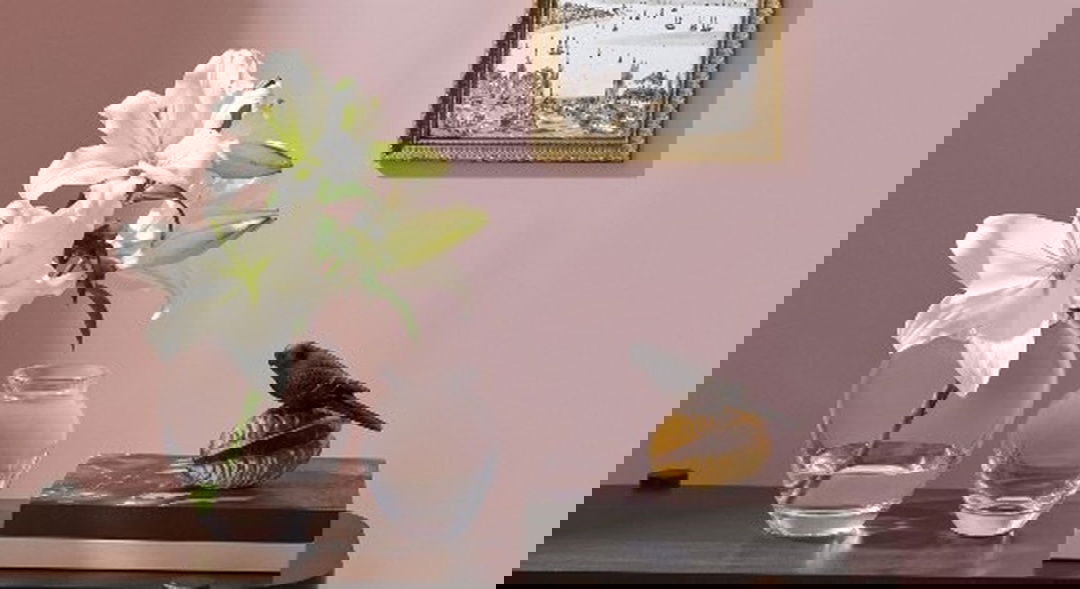 first_section_img