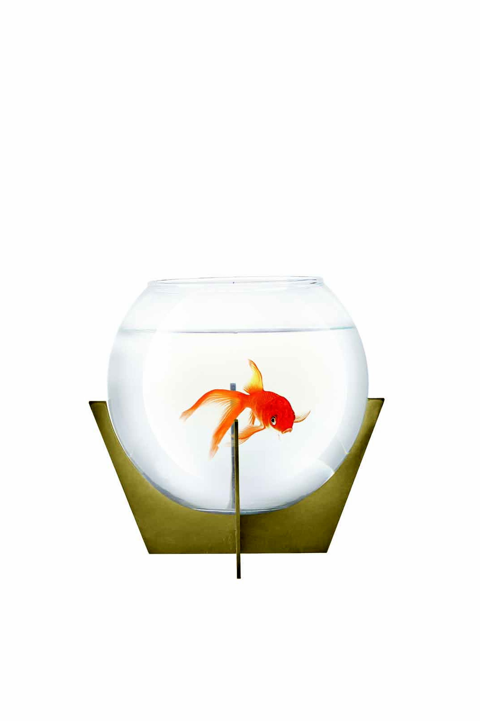 Habitat Fanus 18 Cm