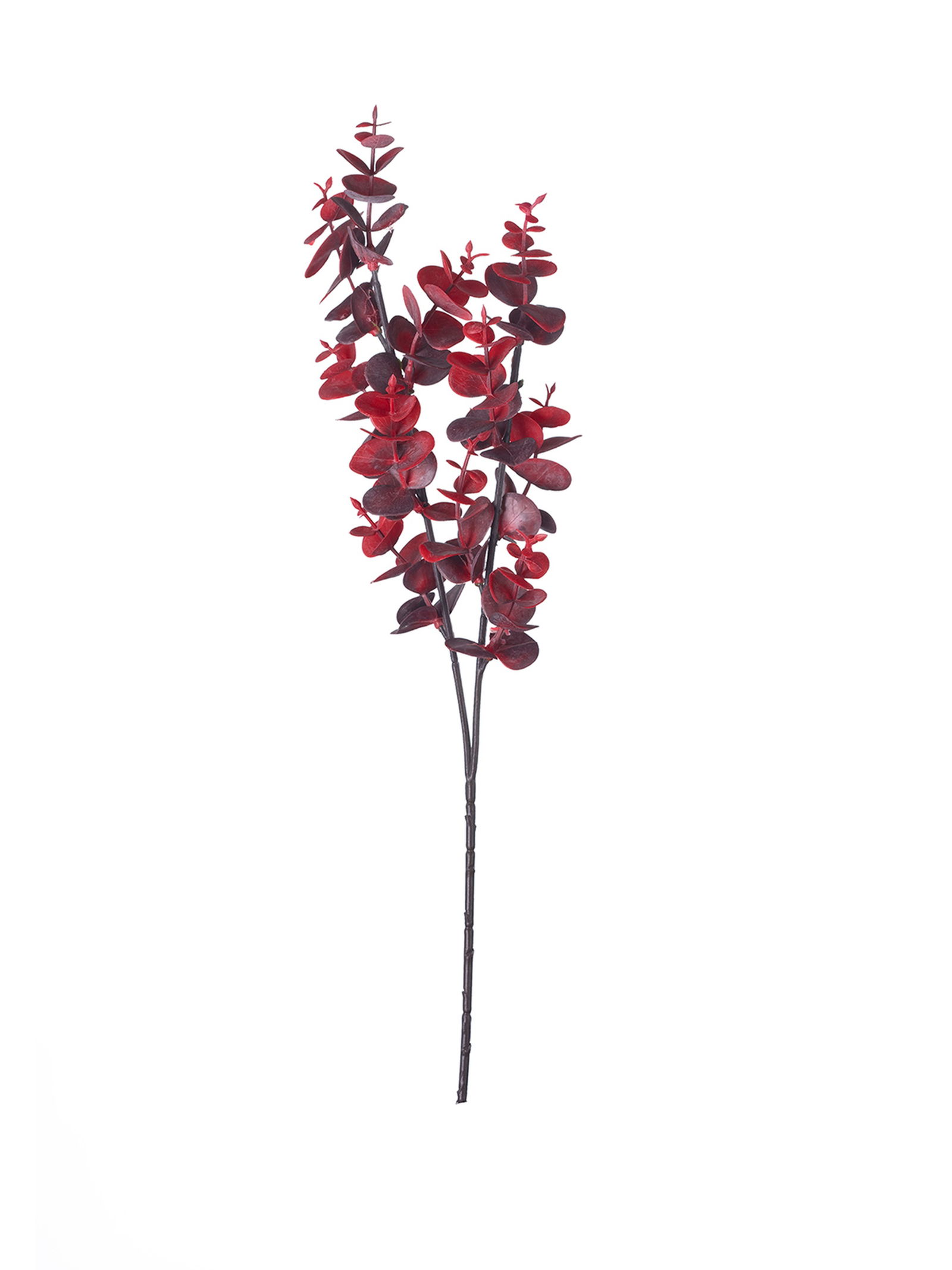 Mürdüm Leaves 40 cm